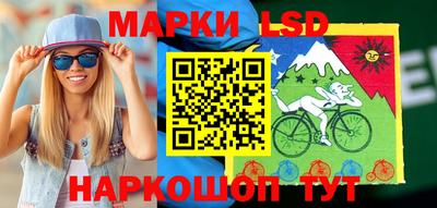 PSILOCYBIN Гатчина
