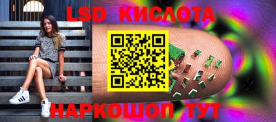 PSILOCYBIN Гатчина