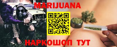 PSILOCYBIN Гатчина