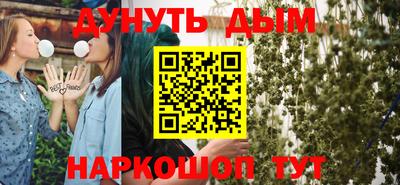 PSILOCYBIN Гатчина