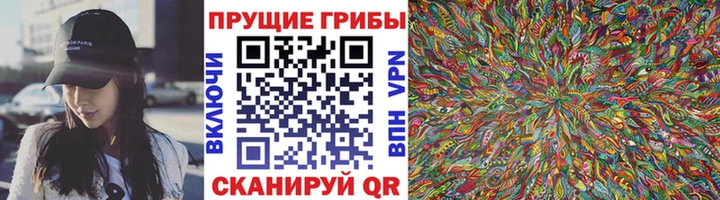 ОМГ ОМГ tor  Менделеевск  Галлюциногенные грибы GOLDEN TEACHER  продажа наркотиков 