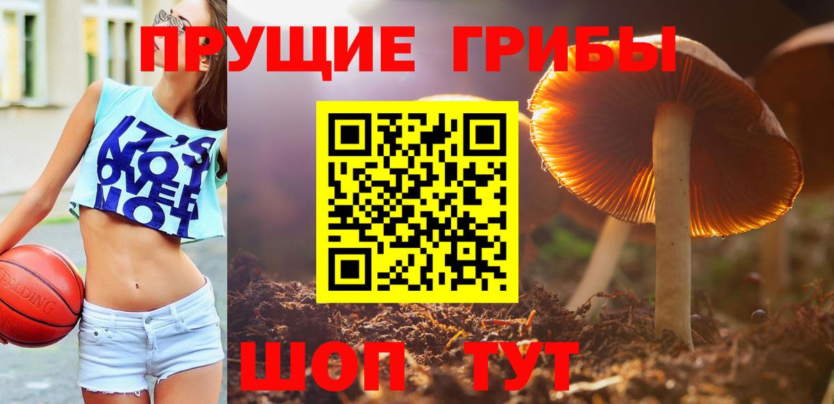 Псилоцибиновые грибы GOLDEN TEACHER Менделеевск