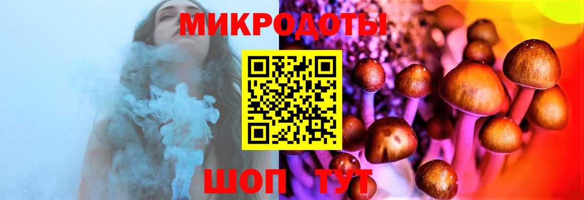 Галлюциногенные грибы мицелий  Вход с VPN  Псилоцибиновые грибы мухоморы  Менделеевск 